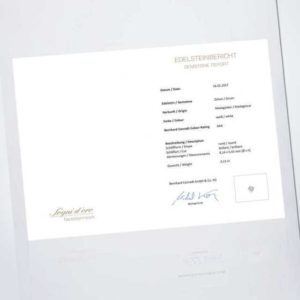 new Edelstein zum Sammeln: Zirkon ab 449.00 (449.00) Euro im Angebot