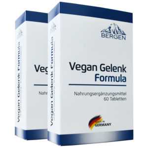 Formula 120 Gelenk Tabletten Weihrauch MSM Teufelskralle Kurkuma Arthro Kapseln