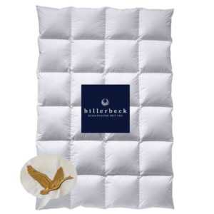Extra-warme Daunendecke Billerbeck Daune E04 Edition Gold Kassette IV 4 cm Steg