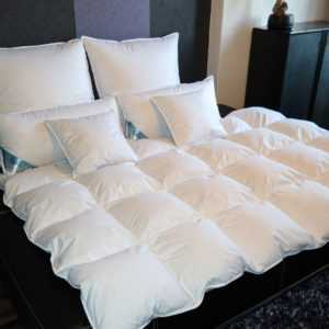 Sommerdecke Leichtbett leichte 60% Daunen-Bettdecke 100% Natur 400g 135X200cm