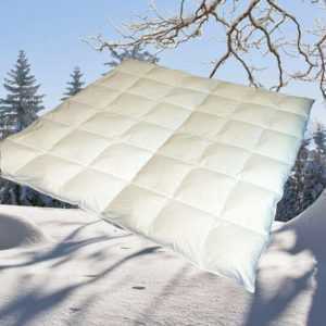2100g neue Daunen Federn Bettdecke Daunendecke Daunenbett Winterbett 200x200 cm