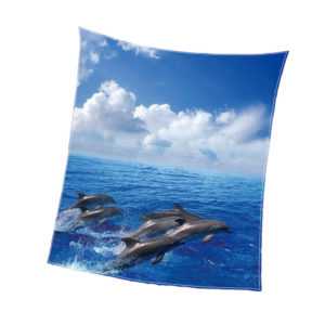 Digital Print Ultra weichen Flanell Fleece Sofa Couch Decke Läufer
