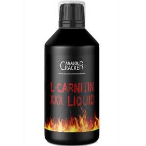 1L  L-Carnitin XXX Liquid 1650mg pro 15ml - hochdosiert stärkste Fettverbrennung