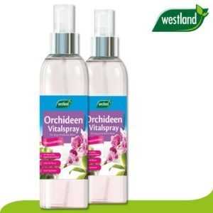 Westland 2 x 250 ml Orchideen Vitalspray »Die Nr 1 in England für den Garten«