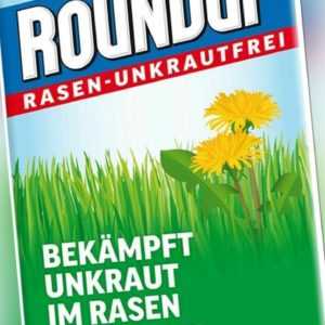 Roundup Rasen Unkrautfrei Konzentrat 250ml Unkrautex Unkrautvernichter Unkraut