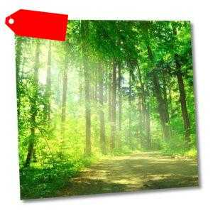 Kurzreise Landshut Reise Voucher Niederbayern | 3 Nächte 3* Hotel Schnäppchen 2P