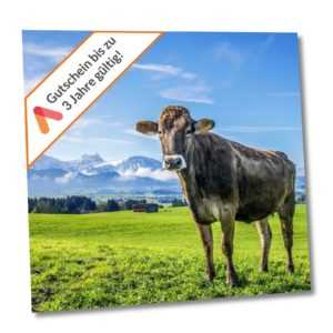 Kurzreise Allgäu Kaufbeuren 3- 6 Tage für 2 Personen Ibis Styles Hotel Gutschein