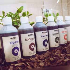 BioBizz Bio Bloom Grow Heaven Top Max Root Juice Fish Mix Acti Vera 1 L