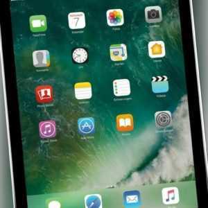Apple iPad Pro 32 GB WLAN + Cellular (Entsperrt) 24,64 cm (9,7 Zoll) spacegrau
