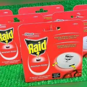 (2,82€/Dose) 6x RAID AMEISEN KÖDER Köderdose Ameisenköder Versand 0€