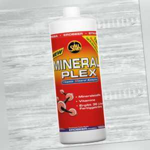 All Stars Mineral Plex 1 Liter Getränkekonzentrat 1000 ml AllStars Vitamine
