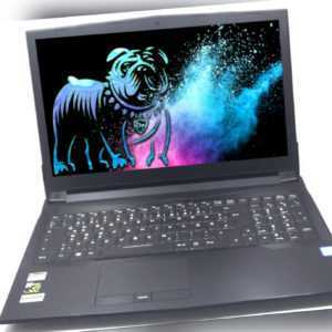 Tarox Lightpad Power 15.6" Notebook FHD i7-7700HQ 8GB 250GB SSD GTX 1050 Win10