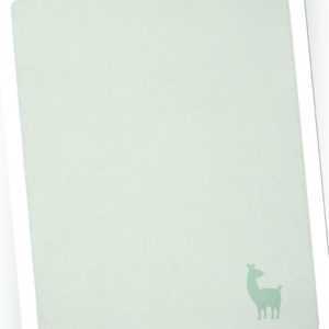 Biederlack Decke Lovely & Sweet Alpaca mint 100 x 150 cm