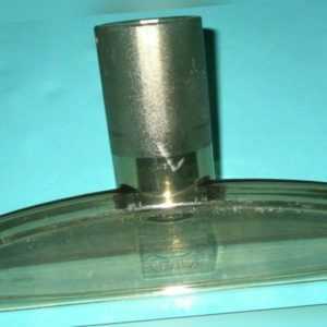 HYLA N NST GST Staubsauger transparente Düse XL   vom Fachmann 2001