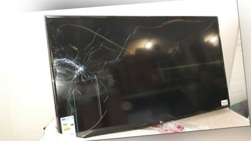 Fernseher 26 Stück Transportschaden Panelbruch defekt Ersatzteile