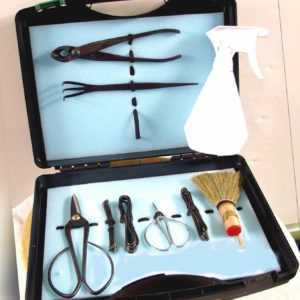 *CBG, Bonsai-Werkzeug-Koffer-Profi-Set, 10-teilig, P2,