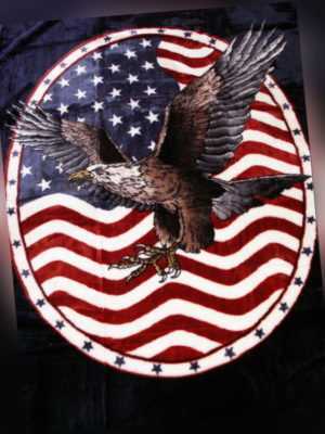 USA Tagesdecke Kuscheldecke Wohndecke Plaid Adler - Wappen