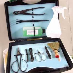 *CBG, Bonsai-Werkzeug-Koffer,Profi-Set mit Bonsai-Dünger,11-teilig, P3