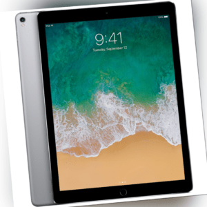 Apple iPad 2017 5 Generation 9,7 Zoll A1822 Tablet Wi-Fi Wlan 32GB Spacegrau