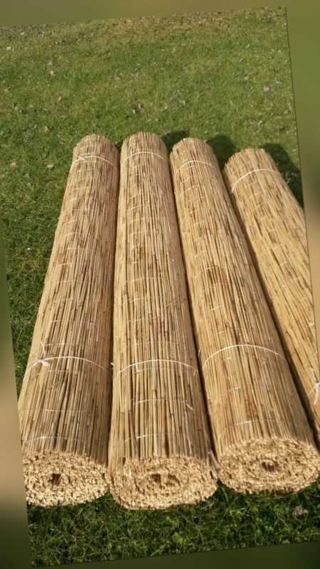 Schilfmatte Sichtschutz Schilfrohrmatte Windschutz Strohmatte TOP Ware 100 x 600 