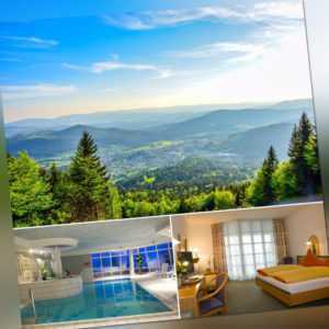 Bayerischer Wald mit Halbpension 3-6 Tage Wellness & Natur Hotel Hohenauer Hof