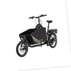 FISCHER Lastenrad Leo 1.0, Cargobike,