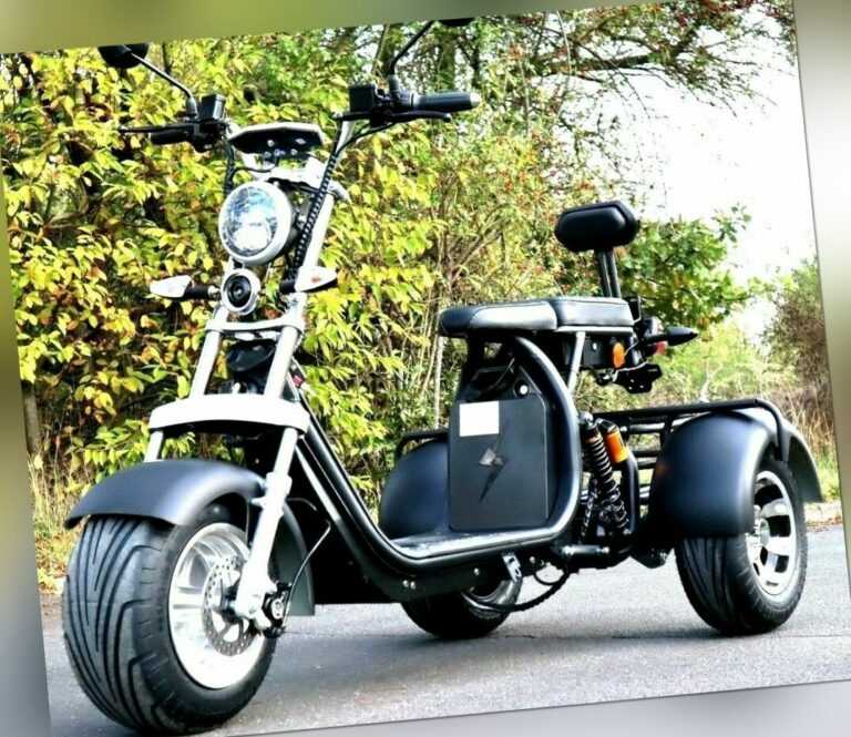 E-Scooter Coco Trike Bike Dreirad 60V 2000 Watt mit Straßenzulassung Roller Fun