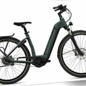 E Bike Flyer GoTour 2 5.01R Bosch Nexus 8 RT 500Wh in Rh M Anthracite Gloss