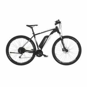 29 Zoll E-Bike MTB FISCHER EM 1724 422 Wh RH 51cm Elektrofahrrad Herren Bike