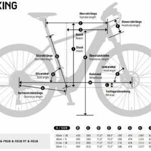 KTM Macina City A510 RT 500Wh Bosch Trekking Elektro Fahrrad 2022