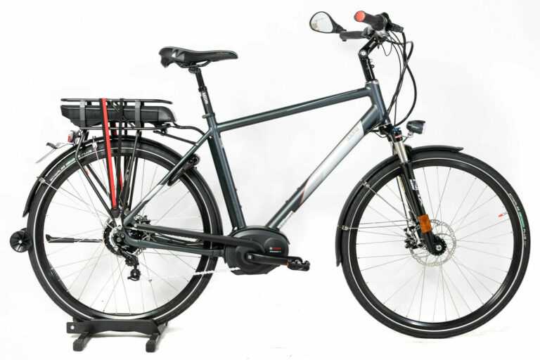 28" Dutch-ID Trekking HS N380 53cm S-Pedelec bis 45km/h Performance Line 500Wh