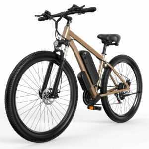 X-TRON C29 E-bike Elektrofahrrad  500W Motor 29" Rad 25° Klettern 38.5 Miles