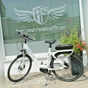 SAXONETTE Deluxe City II E-Bike Pedelec für Damen und Herren