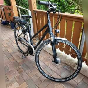 E-Bike Hercules Roberta Vario Nuvinci