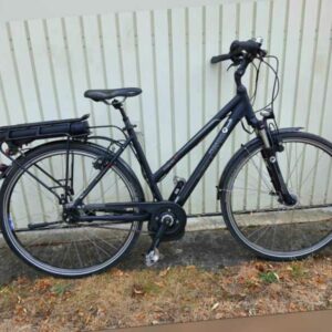 Elektrofahrrad E-Bike Pegasus Premio-E City 28 Zoll, BOSCH Motor 1.Gen. 36V-250W