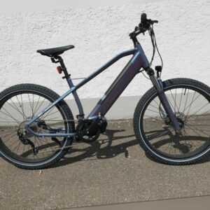 Pedelec E-Mountainbike WEE Dolphin FATBIKE Breitreifen ANANDA Motor 120Nm 10Gang