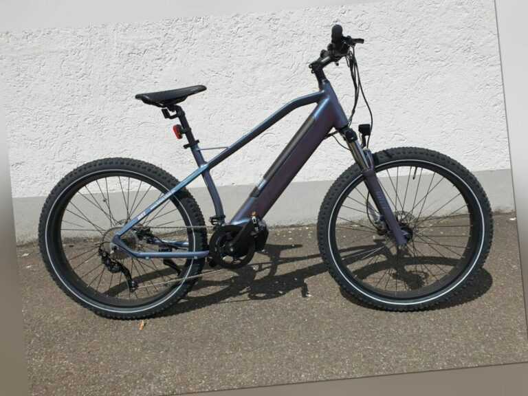 Pedelec E-Mountainbike WEE Dolphin FATBIKE Breitreifen ANANDA Motor 120Nm 10Gang