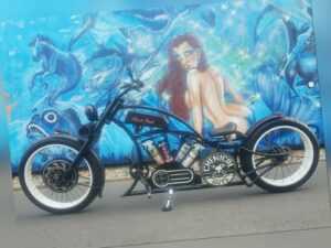 Fahrrad Chopper Pedelec Unikat (Ebike / E-Bike / Cruiser / Beachcruiser)