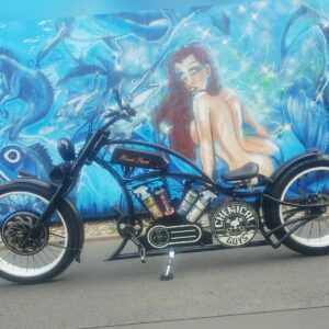 Fahrrad Chopper Pedelec Unikat (Ebike / E-Bike / Cruiser / Beachcruiser)