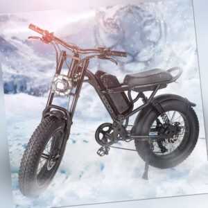 E Mountainbike 500W 48V Elektrofahrrad 20 Zoll E-bike Fat Bike 7G Shimano 45km/h