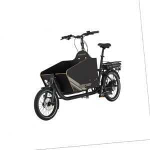 FISCHER Lastenrad Leo 1.0 Cargobike Elektro E-Bike Lastenfahrrad bis 45 Kg