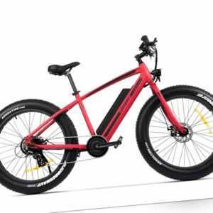 Vélo électrique dynamique Pegas Supreme.  Rouge Mat