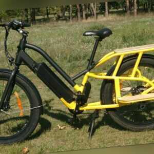 Cargo Lastenrad E-Bike Zweisitzer Kindertaxi Pedelec 250-750W bis 45km/h möglich