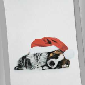 Microfaser Kuscheldecke Tagesdecke Wohndecke Tiermotive Decke