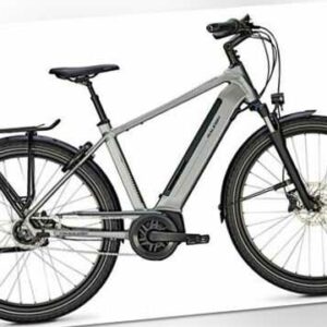 Raleigh, Bristol XXL, Herren, 28Z, 5G, Bosch 625Wh, E-Bike grau matt 170kg RH 53