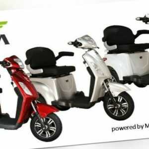 VM4 Seniorenfahrzeug Elektro Scooter Trike Dreirad Seniorenmobil 3-Rad 25 km/h