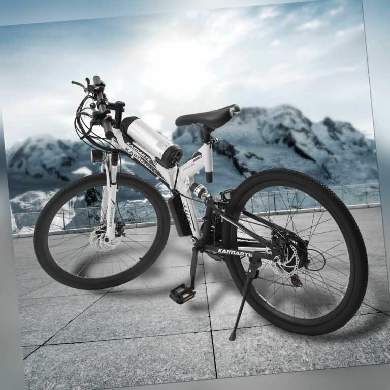 Elektrofahrrad Mountainbike Ebike 26 Zoll E-Bike Motor 250W 21Gang mit Akku