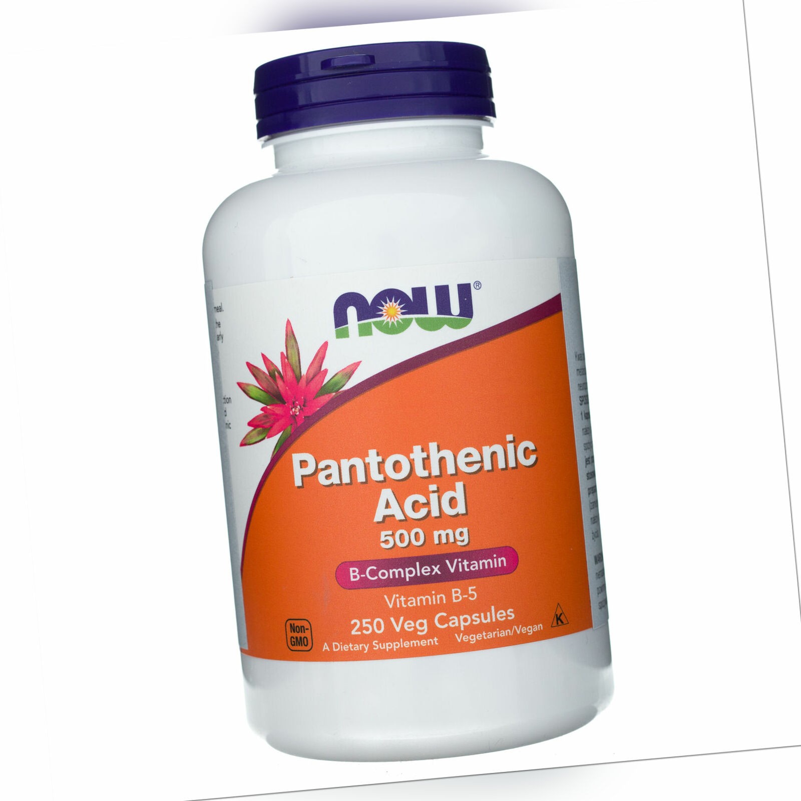 NOW FOODS Pantothensäure Pantothenic Acid 500 mg 250 Kapseln