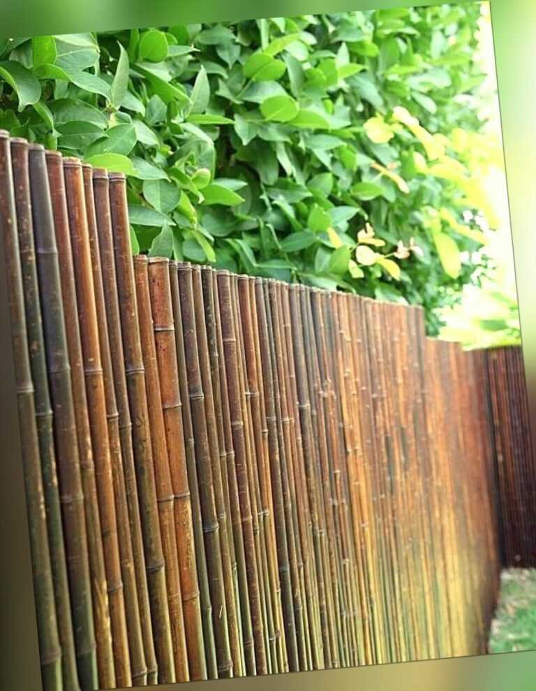 Sichtschutz ATY NIGRA Bambus Gartenzaun Windschutz Sichtschutzmatte Zaun (HxB)