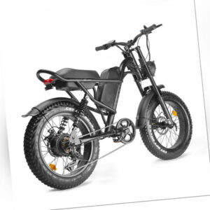 E bike 20 Zoll Elektrofahrrad E Mountainbike Fatbike Shimano 45km/h Pedelec 500W